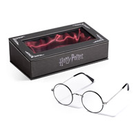 Harry Potter at The Noble Collection