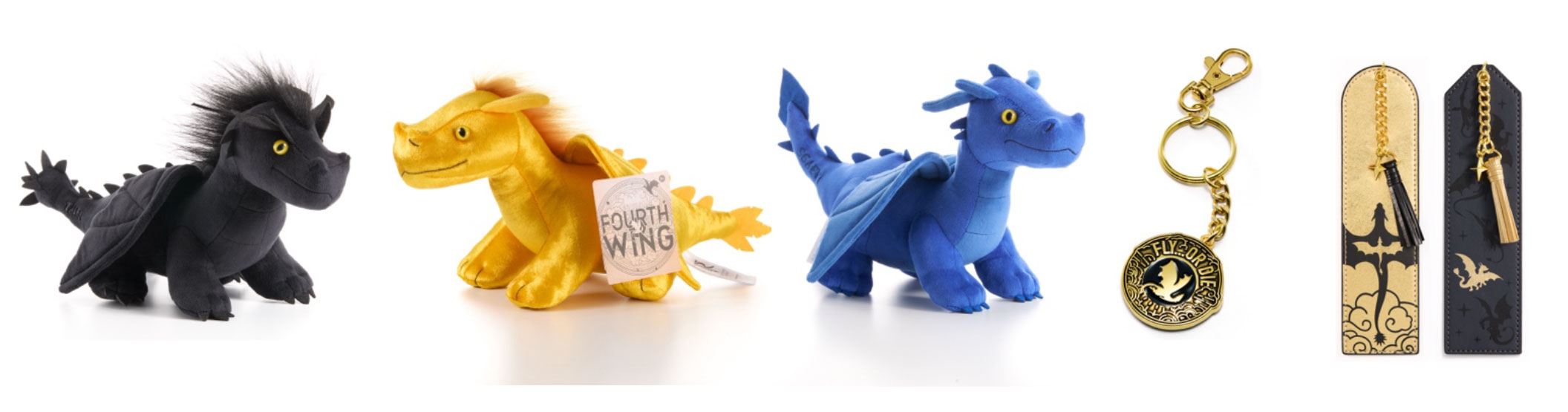 Fourth Wing Products